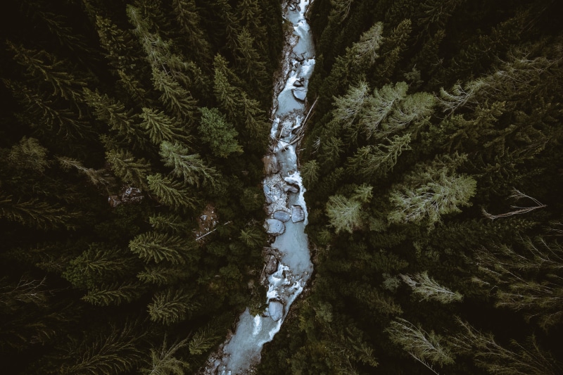 5K, eye, photography, no People, landscape, fir Tree, stream, green Color, explore, birds eye view, travel, view, forest, beauty In Nature, wanderlust