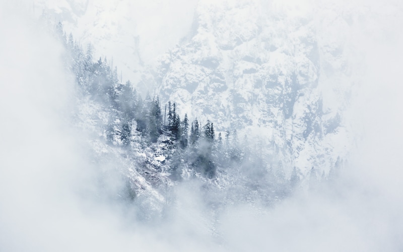 plant, 5K, snowing, white color, snow, photograph, cloudy, environment, no people, range, purity, land, pnw, tranquil scene, cold temperature, cloud, landscape