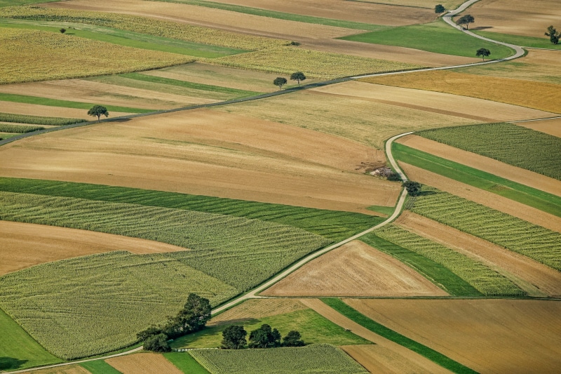 aerial view, rural scene, scenics - nature, land, environment, farm, landscape, aerial, outdoors, plant, green, high angle view, nature, arable land, growth