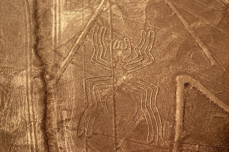 nazca plateau, pattern, art and craft, history, best, land, ornate, backgrounds, wood grain, nature, wood - material, tree, outdoors, wood, craft, textured