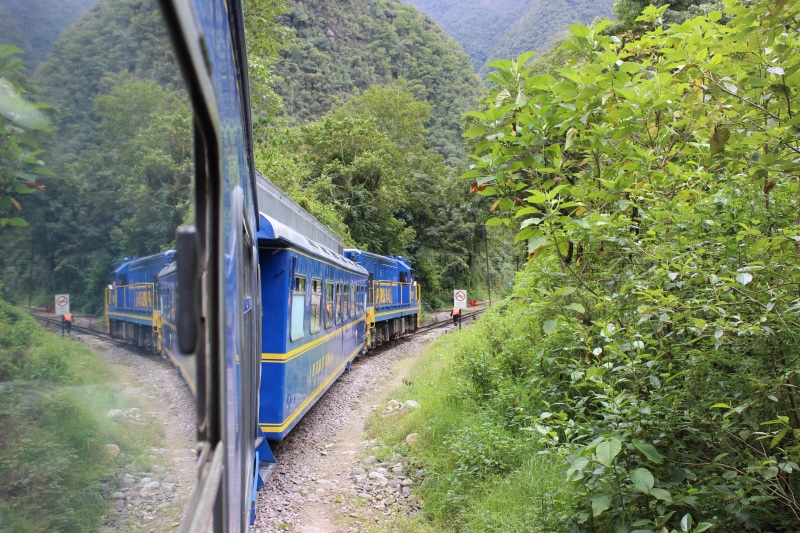 train - vehicle, tree, growth, mode of transport, landmark, travel, ruins, architecture, peru rail, holy, Machu Picchu, mountains, green color, track, public transportation