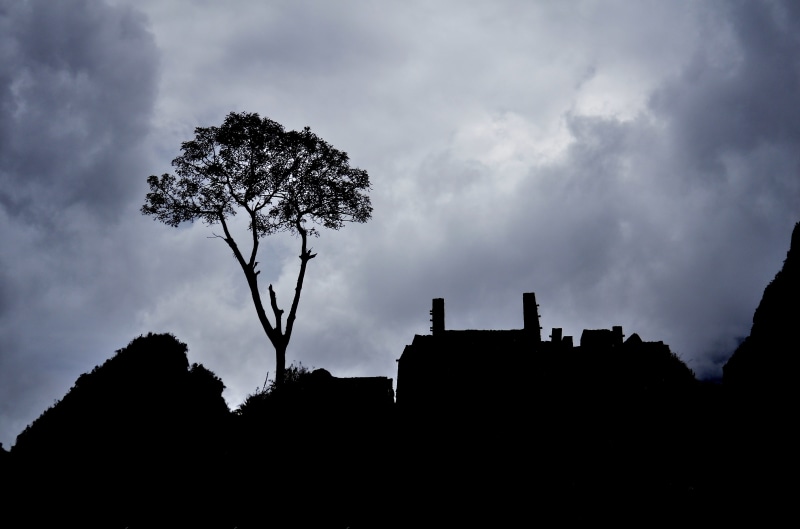 outline, machu picchu, building exterior, dusk, portals machupicchu, outdoors, cusco peru, plant, low angle view, sky, tree, overcast, built structure