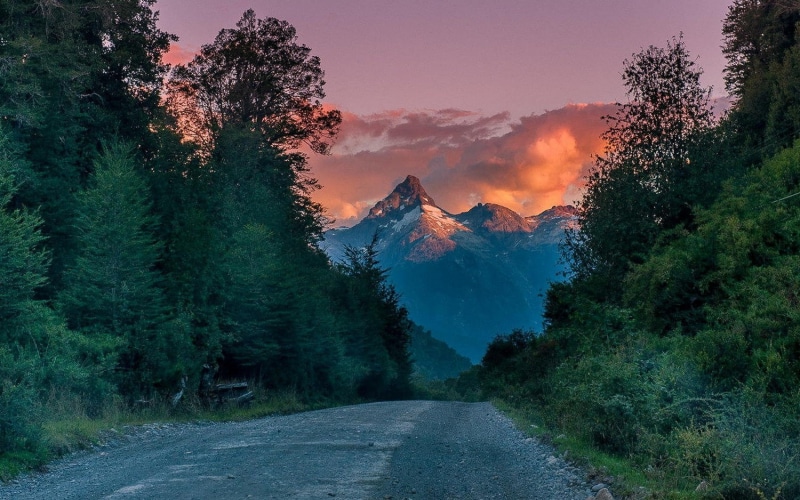 growth, clouds, tranquil scene, road, plant, transportation, no people, non-urban scene, tranquility, mountain range, landscape, sky, coniferous tree, mountains