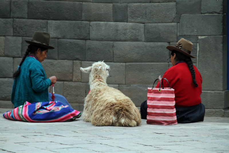 full length, pet owner, alpaca, pets, cultures, women, adult, inca, 5K, day, cuzco, clothing, andes, sitting, person, tourism, peruvian, llama, rear view