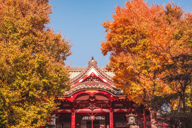 colorful, sky, japan, religion, tree, japanese temple, building, maple, orange trees, leaf, near, autumn, sunny, tokyo, sun, 5K, temple, no people, nature