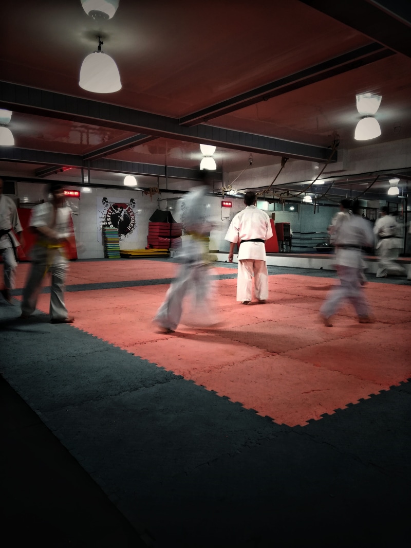 martial arts, city, gee, karate do, lifestyles, human, fitness, download, wearing, sport, iran, people, real people, 4K, indoors, gym, group, architecture