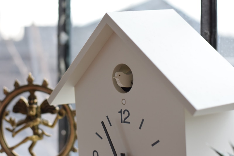 animal, house, white color, pattern, analog clock, den, design, clock, white, building exterior, no people, unicorn dojo, clock tower, tower, bird clock