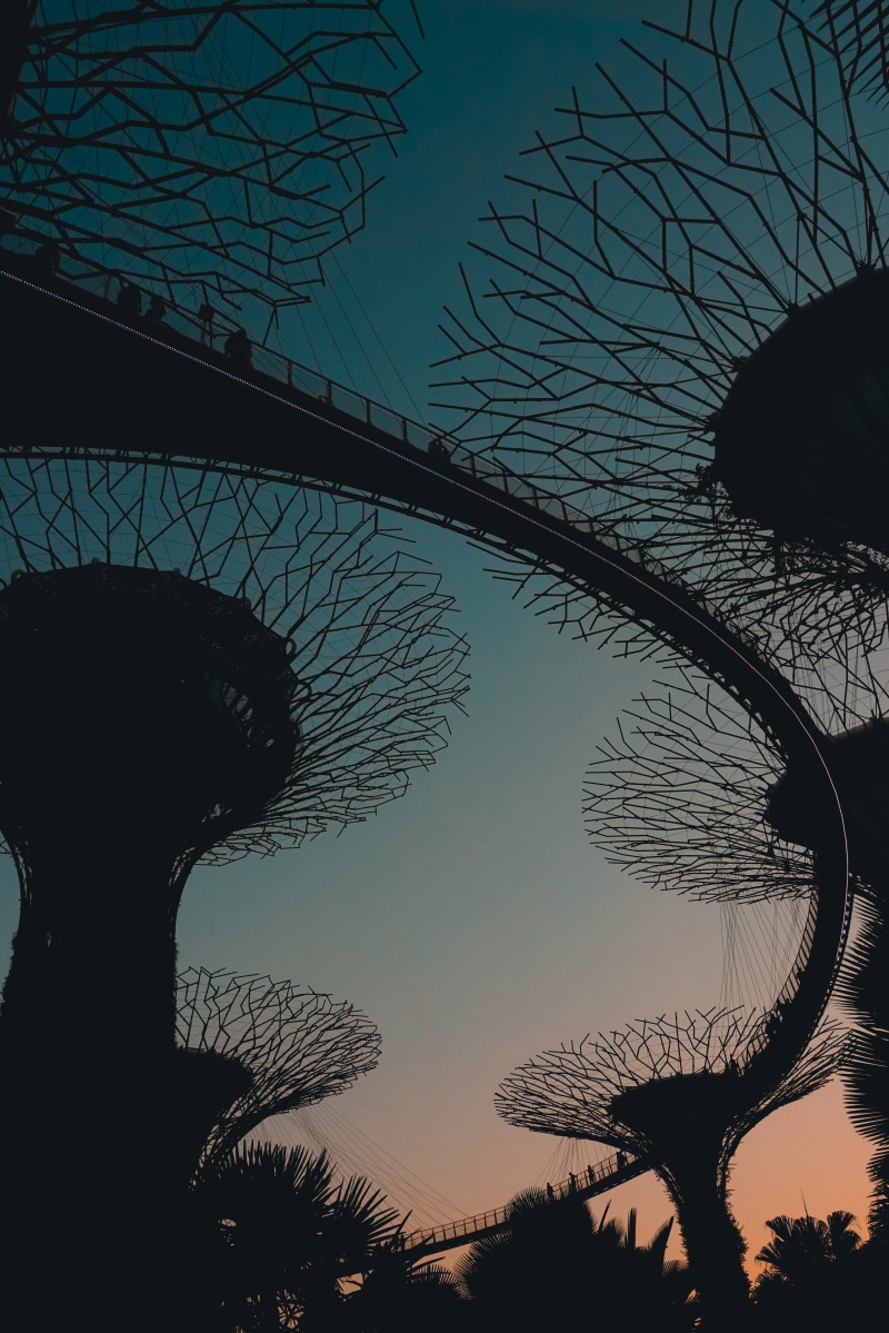 built structure, beauty in nature, silhouette, gardens, plant, tranquility, architecture, singapore, connection, bare tree, tree, day, sky, no people, sunset