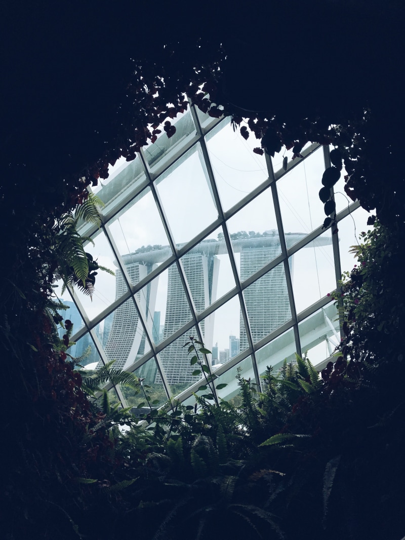 marinabaysands, bush, built structure, plant nursery, day, botanic, building exterior, low angle view, levels, boat, sky, outdoors, greenhouse, gardens