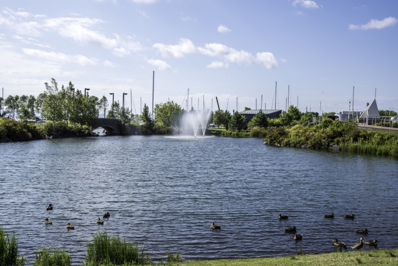 5K, Water Garden, animal wildlife, photo, animal themes, architecture, lake, water, plant, thunder, bird, blue, vertebrate, outdoors, animals in the wild