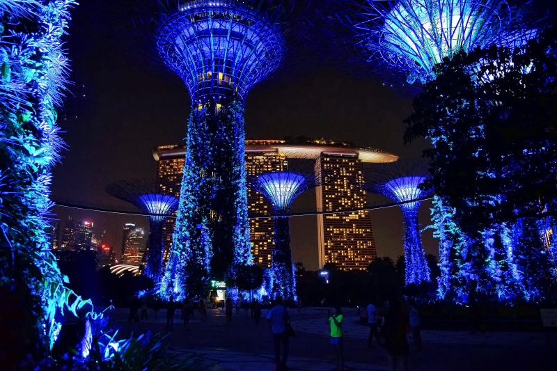 outdoors, marina bay sands, built structure, illuminated, plant, architecture, decoration, christmas lights, supertrees, building exterior, incidental people