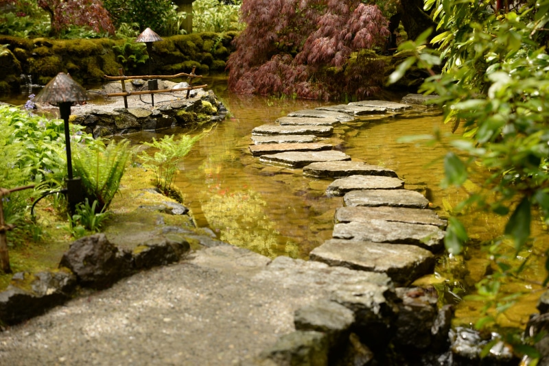 water, beauty in nature, lake, stone - object, growth, canada, no people, rock, flowing water, plant, brentwood bay, floating on water, outdoors, reflection