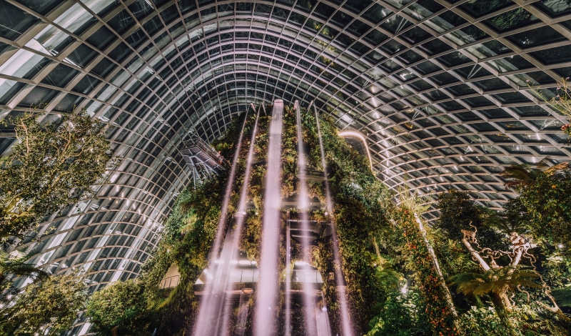 growth, waterfall, leaves, architecture, dome, travel, outdoors, photography, greenery, night shot, plant, city, window, green color, no people, day, leafe