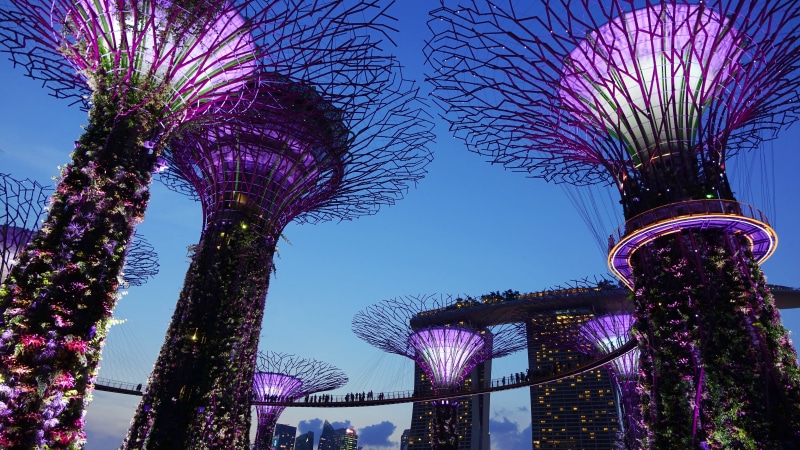 structure, supertree, city, architecture, sky, singapore, low angle view, tall - high, outdoors, built structure, colorful, attraction, cityscape, landmark
