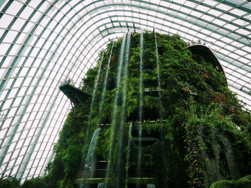 long exposure, botany, green color, greenhouse, plant nursery, futuristic architecture, singapore architecture, plant, singapore greenhouse, green, built structure