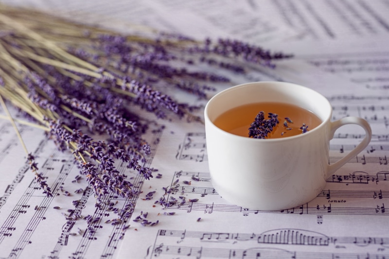 cup, tea, plants, musical notes, 1080P, lavender