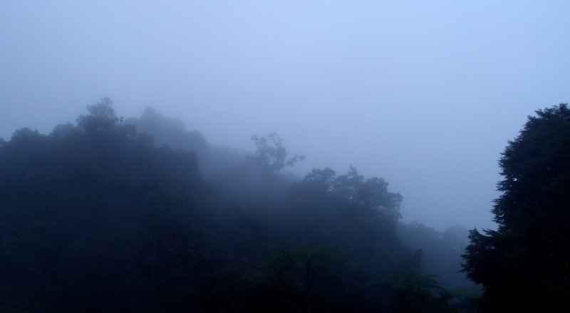 environment, copy space, august, non-urban scene, no people, beauty in nature, scenics - nature, 2K, fog, tranquility, cameron highlands, malaysia, sky