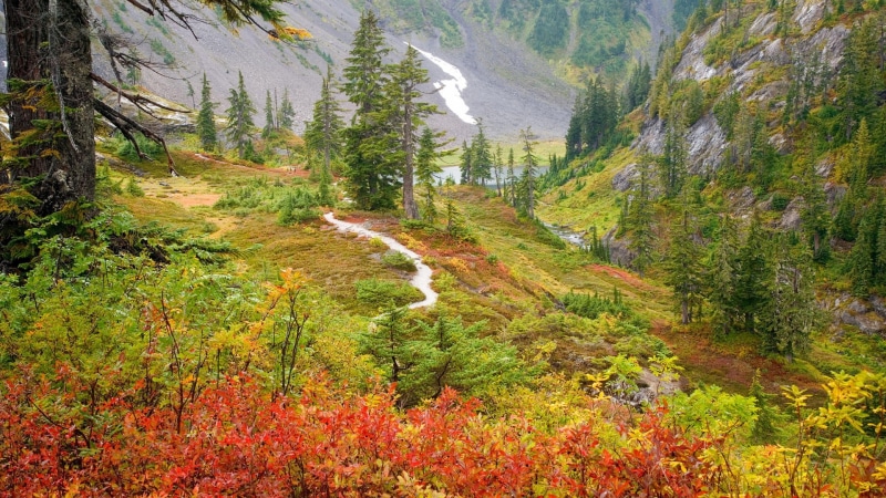 river, trees, the bushes, 1080P, Russia, Russian Far East, gorge, Far East, autumn, mountains