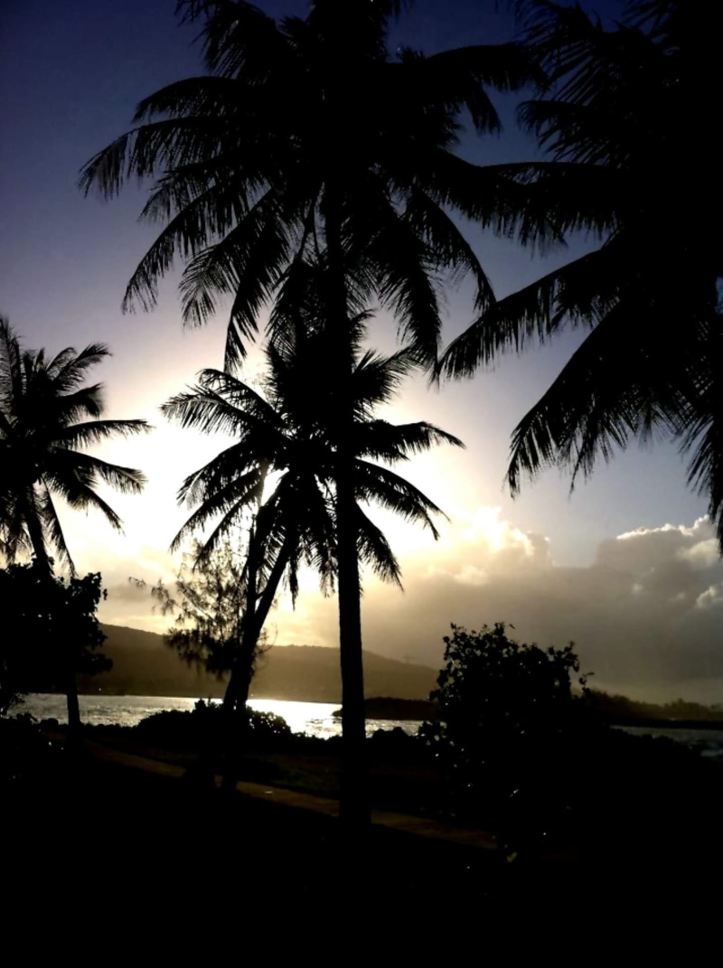 growth, coconut palm tree, tranquility, palm tree, east, guam, plant, scenics - nature, island, tree, water, sea, trees, cloud - sky, far, tropical climate