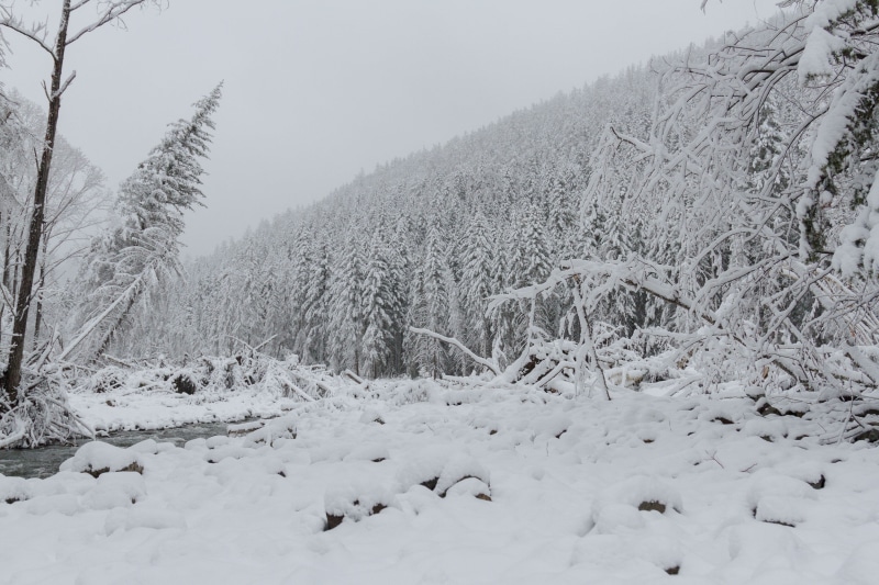 trees, non-urban scene, scenics - nature, Far East, tree, extreme weather, land, plant, tranquil scene, 2K, winter, outdoors, snow, snowing, snowcapped mountain