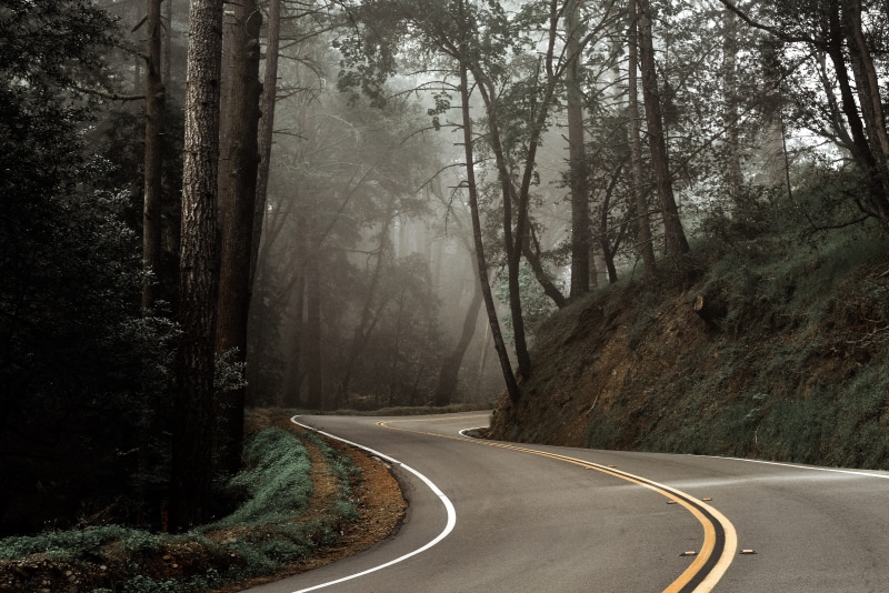 foggy, transportation, scenics, woodland, highway, forest, rural Scene, mountain, travel, dividing Line, landscape, 5K, journey, ontheroad, beauty In Nature