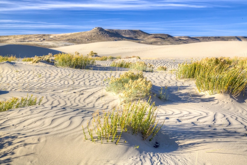 adventure, sand, OHV, desert, Wyoming, beach grass, roadtrip, beach, landscape, grass, outdoors, ride, 2K, travel, nature, sand Dune, dry, scenic, Bureau of Land Management