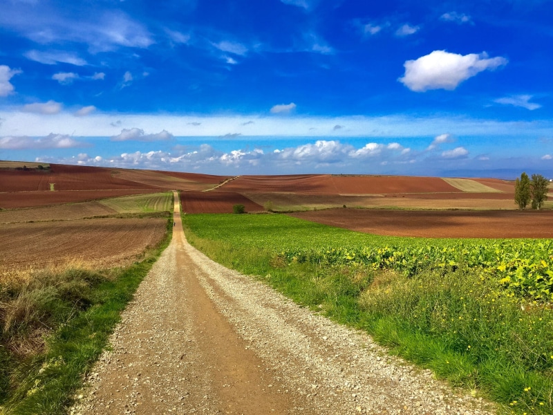 santiago, road, caminodesantiago, long, basque, scenics - nature, non-urban scene, diminishing perspective, colourful, plant, beauty in nature, tranquility