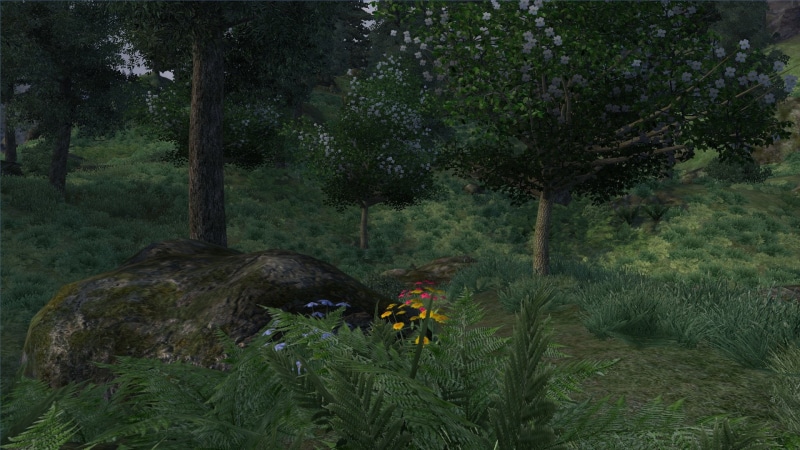 The Elder Scrolls, The Elder Scrolls IV: Oblivion, 1080P