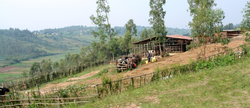 architecture, outdoors, 2K, plant, nature, transportation, rural scene, farm, field, landscape, no people, building, house, african, africa, environment