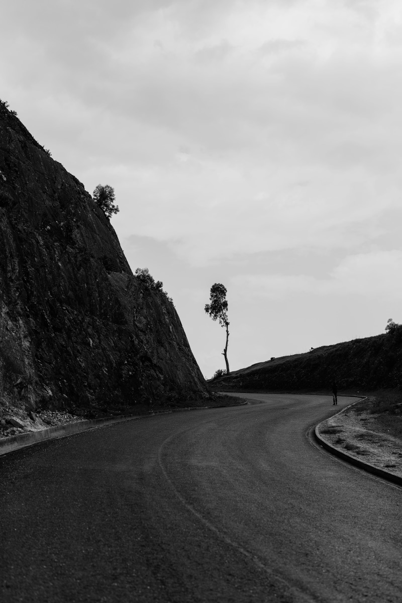 no people, sky, road, 5K, tree, serrah, tranquil scene, winding road, tranquility, mountain road, plant, non-urban scene, day, empty road, unsplash, the way forward