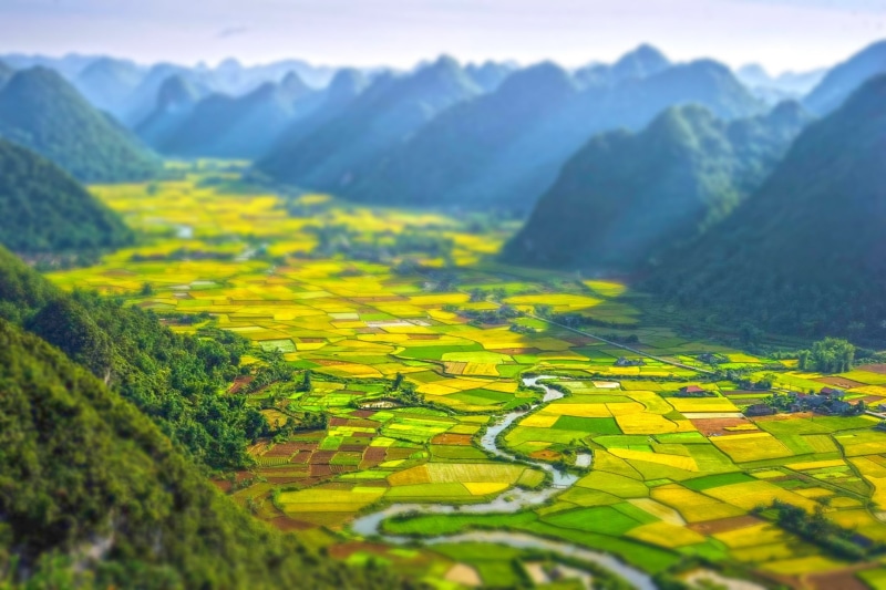 agriculture, green color, yellow, 1080P, no people, mountain, landscape nature africa tilt shift field river hill rwanda, plant, environment, idyllic