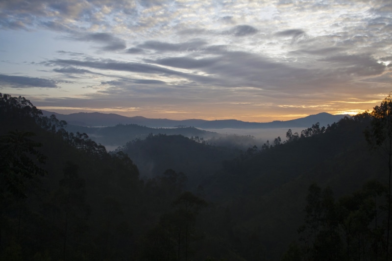 nature, environment, cloud - sky, mountain range, outdoor, scenics - nature, mist, adventure, africa, idyllic, trees, sunrise, outside, fog, mountain, sunset