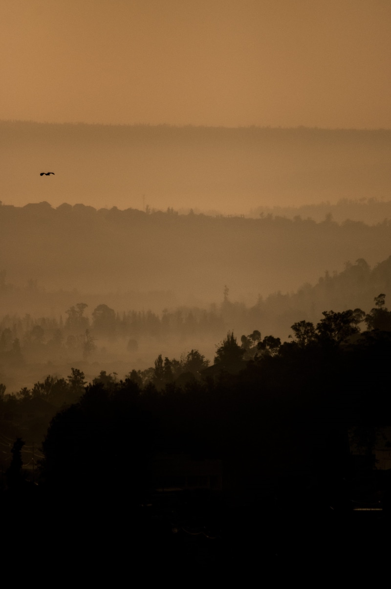 sky, landscape, copy space, tree, tranquility, rwanda, nature, kigali, land, 4K, beauty in nature, idyllic, outdoors, fog, no people, non-urban scene