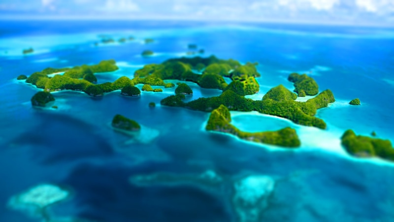 nature, animals in the wild, wave, landscape, sea, 1080P, close-up, island, reef, waters Edge, tropical Climate, selective focus, beauty In Nature, travel
