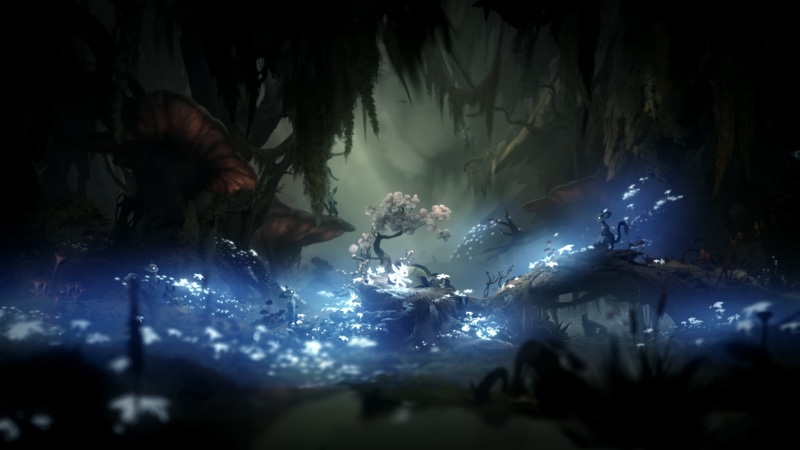 1080P, Ori and the Will of the Wisps, screen shot
