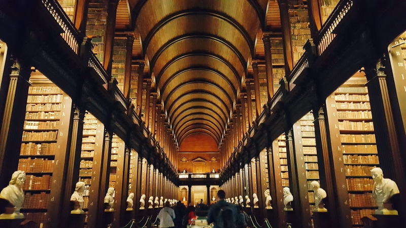 ceiling, group of people, architecture, ireland, literature, indoors, book, person, shelf, shelves, animal, 2K, ornate, education, arch, bookshelf, human
