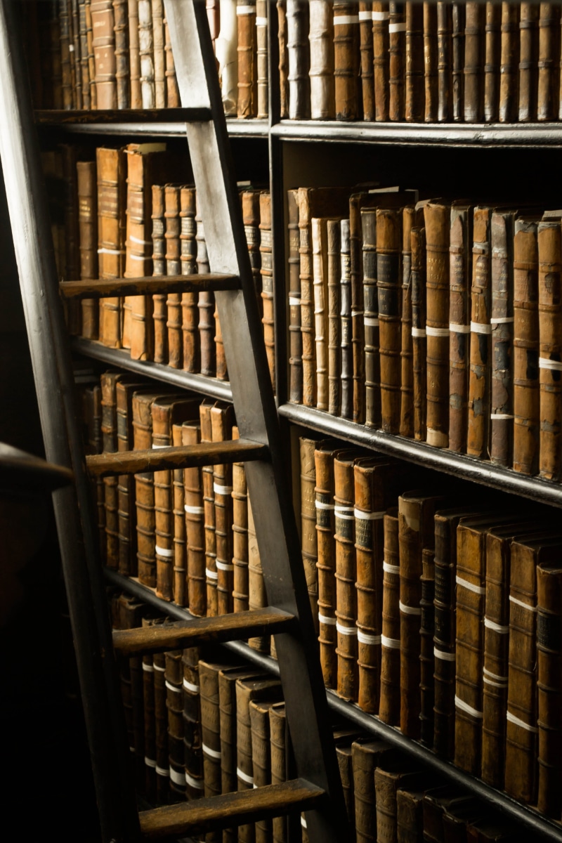 old books, education, architecture, antique, literature, book, old, history, wooden, shelf, research, full frame, old-fashioned, university, ladder, backgrounds