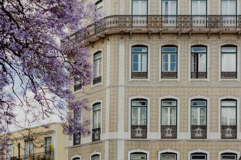 branch, cityscape, city, low angle view, tree, outdoors, freshness, colorful, town, lisbon, buildings, cherry blossom, building, built structure, Europe