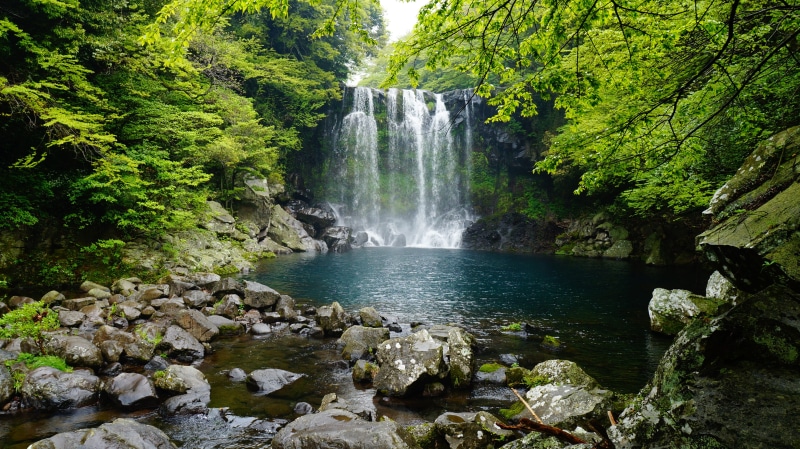 island, forest, cheonjeyeon falls, falls, Island Falls, 4K, day, waterfall, solid, flowing, nature, rock - object, Cheonjeyeon, long exposure, scenics - nature