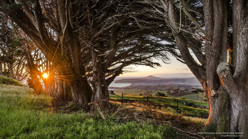 new, Oceania, zealand, island, south, peninsula, 2K, otago