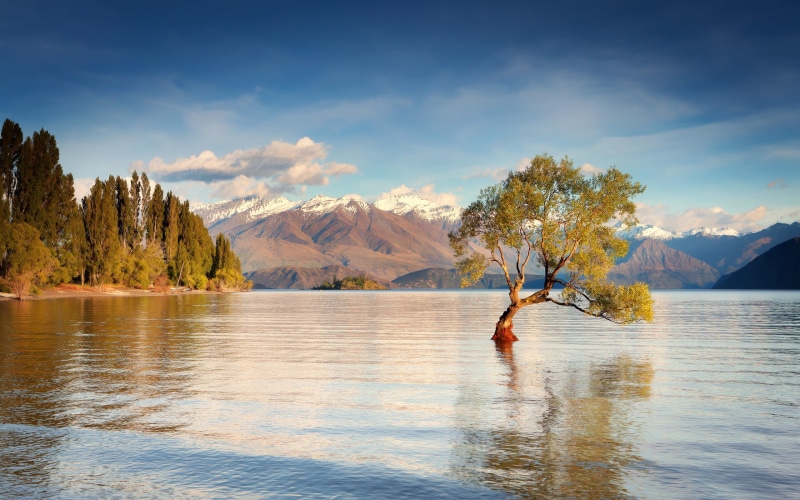 Mountains, Island, South, Zealand, Lake, Water, 2K, Trees, Wanaka, New
