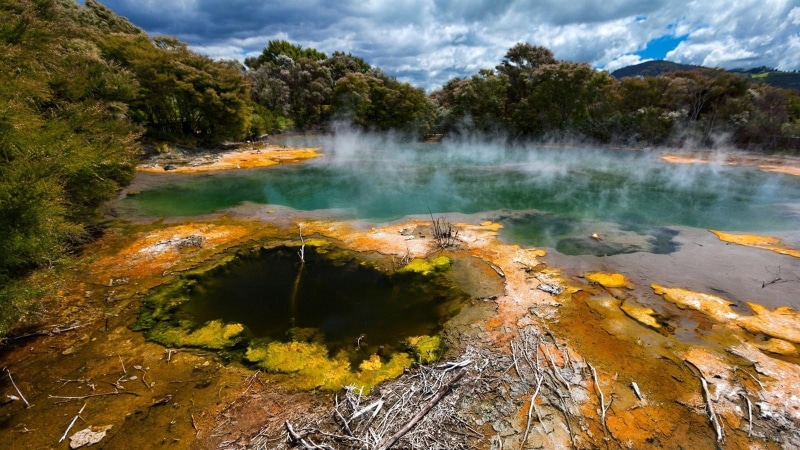 geothermal, 720P, new, lakes, trees, steam, geyser, water, landscapes, clouds, rotorua, zealand
