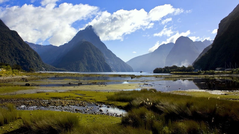 landscape, scenics - nature, plant, sound, outdoors, day, cloud - sky, southwest, south, fjord, piopiotahi, mountain peak, idyllic, milford, mountain, environment