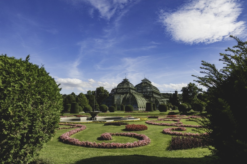 garden, castle, schonbrunn, cloud - sky, nature, no people, bush, palm house, plant, growth, wien, formal garden, topiary, sky, building exterior, outdoors