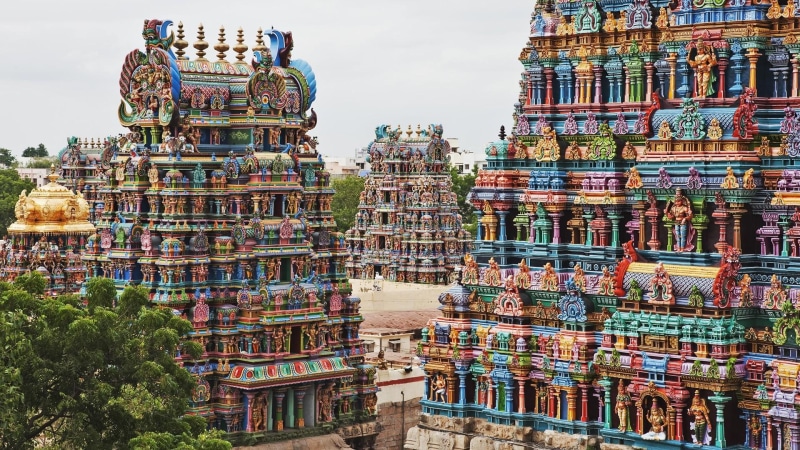 tree, india, colors, nature and landscapes, temples, figures, colorful, wonderful, 1080P