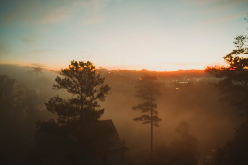 tree, no people, vietnam, morning, beauty in nature, sunset, tranquility, plant, tranquil scene, nature, sky, orange color, cloud - sky, sun, fog, hazy