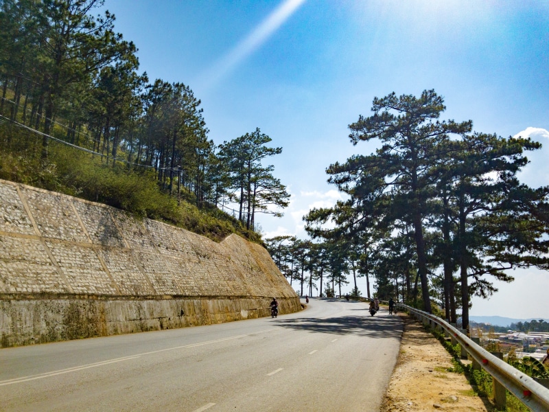 empty, tree, sunlight, growth, sky, day, hill road dalat vietnam, outdoors, direction, transportation, nature, country road, barrier, dalat, vietnam, country