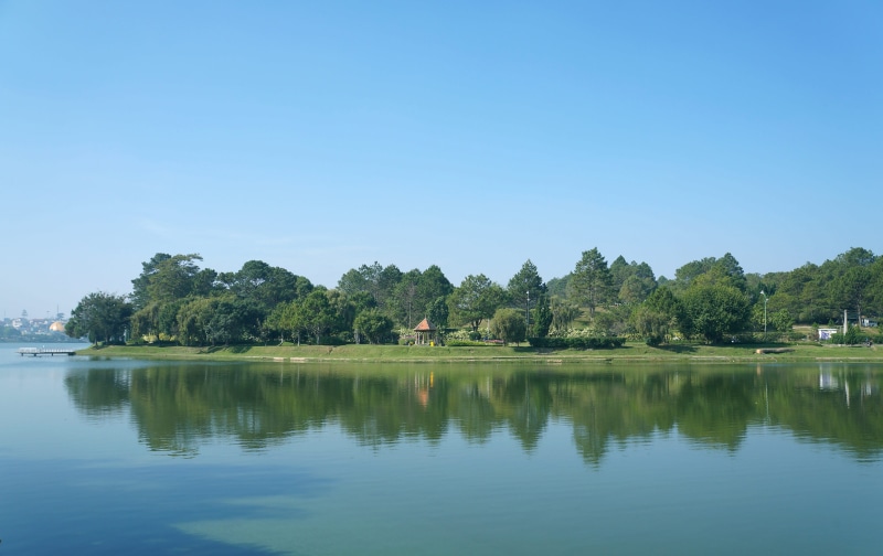 sky, beauty in nature, growth, lake, scenery, dalat, plant, nature, day, scenics - nature, tree, 4K, vietnam, non-urban scene, no people, tranquil scene