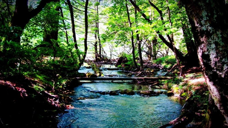plitvice, nature and landscapes, croatia, national park, wild, lakes, river, 1080P