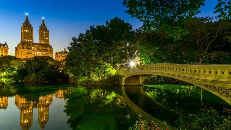 architecture, new york city, central park, outdoors, connection, nature, arch bridge, river, illuminated, reflection, tree, water, bow bridge, park, lake